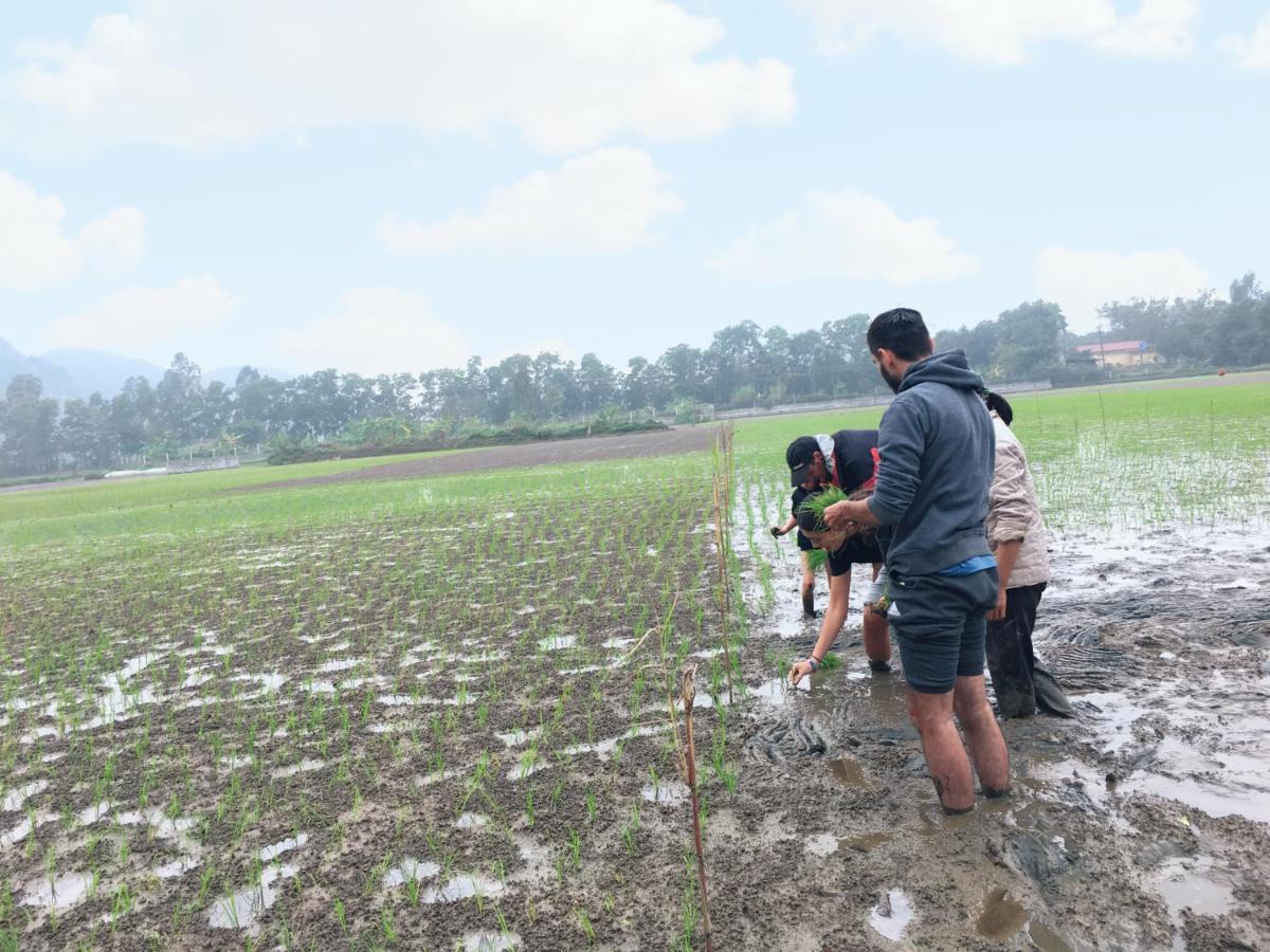 Nam Nhung Tam Coc Homestay Ninh Binh Eksteriør bilde